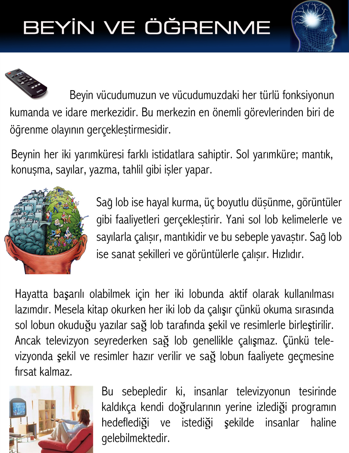 Beyin ve Öğrenme