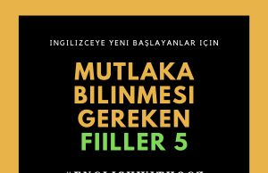 İngilizceye Yeni Başlayanlar İçin Mutlaka Bilinmesi Gereken Fiiller-5